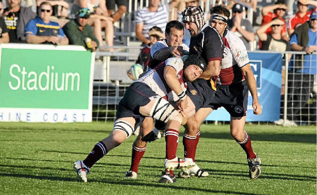 Snakes fought fiercely to secure the Premiership crown. Snakes fought fiercely to secure the Premiership crown.